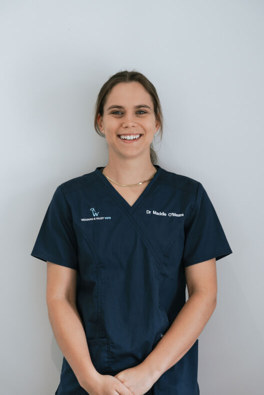 Dr. Maddie O'Meara