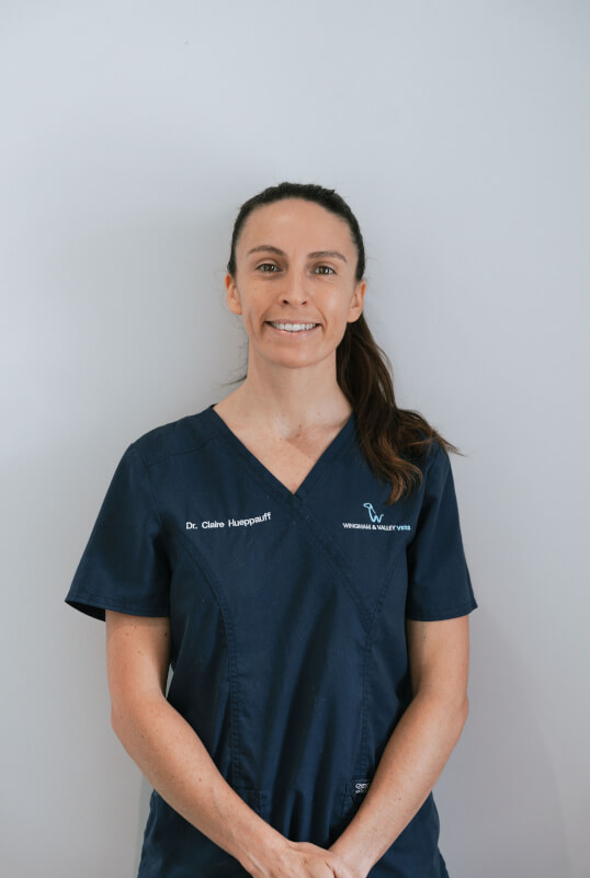 Wingham and Valley Vets