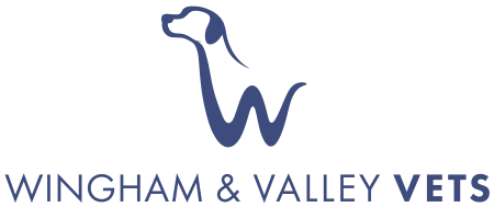 Wingham and Valley Vets Logo