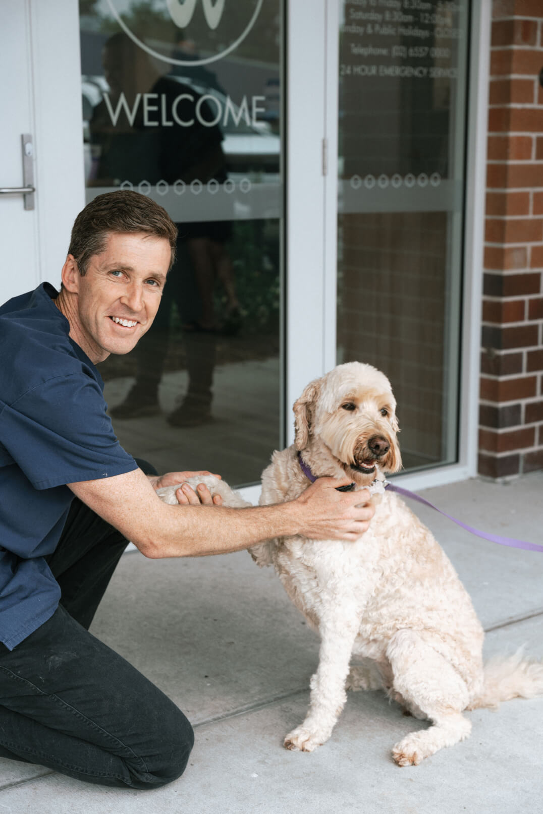 Wingham and Valley Vets