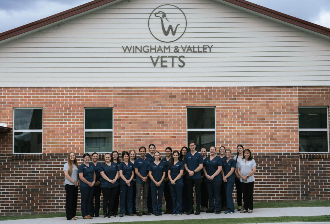 Wingham and Valley Vets