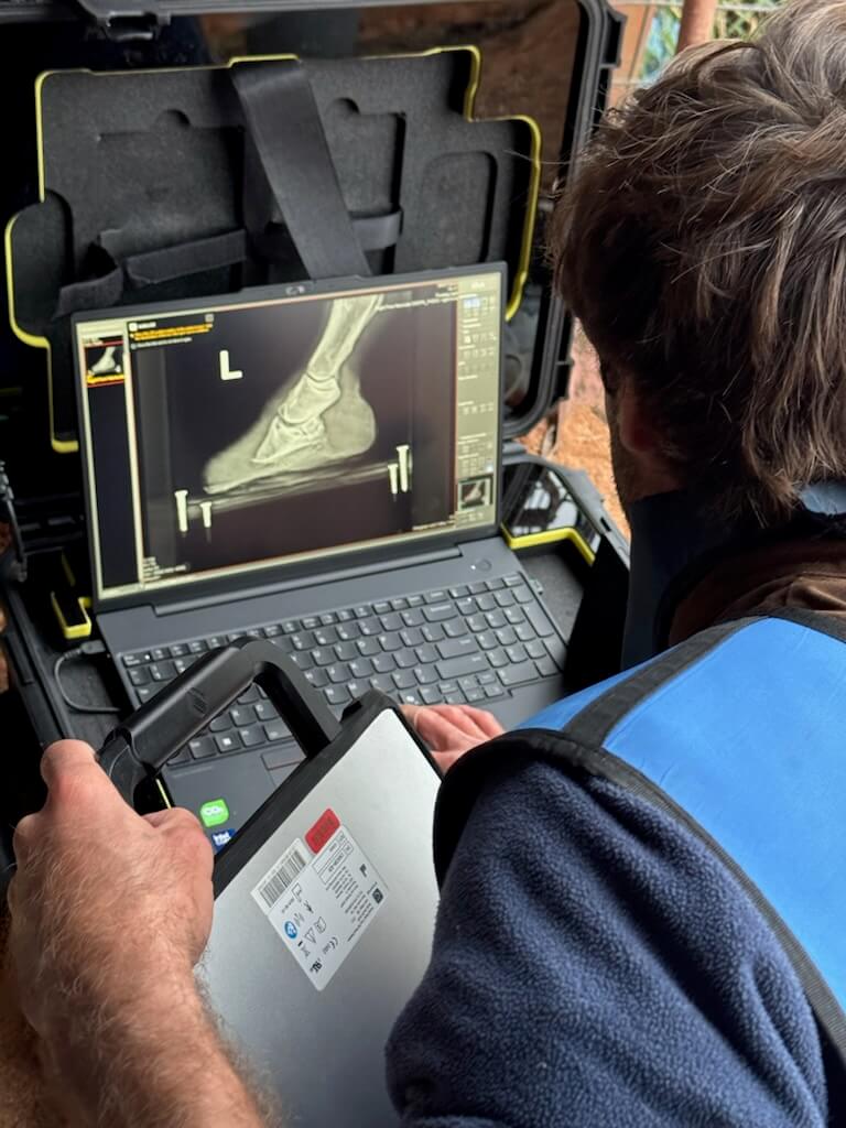 Wingham and Valley Vets