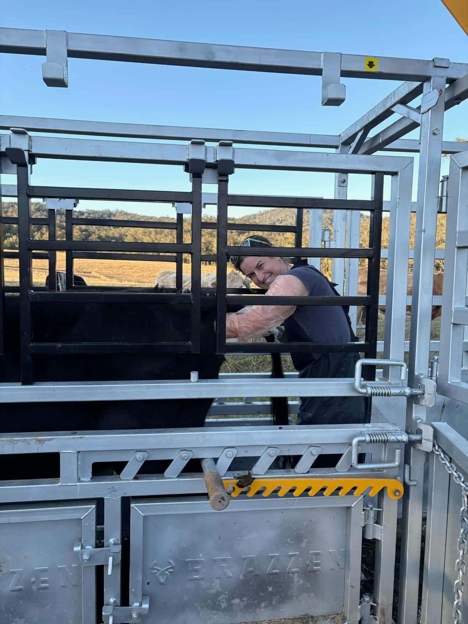 Wingham and Valley Vets