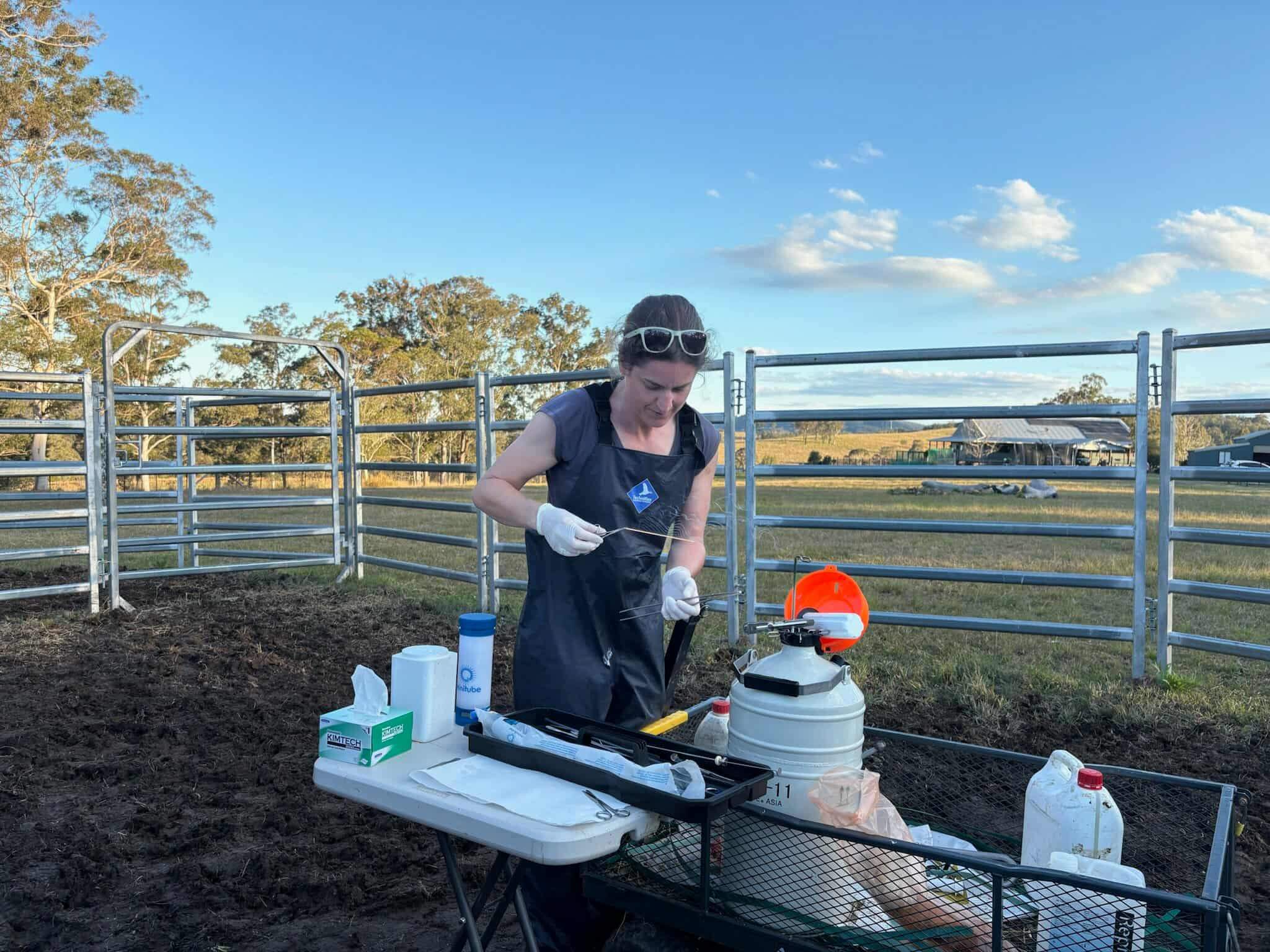 Wingham and Valley Vets