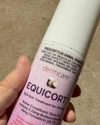 Wingham and Valley Vets