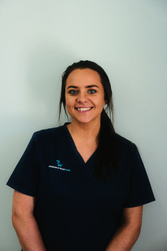 Wingham and Valley Vets