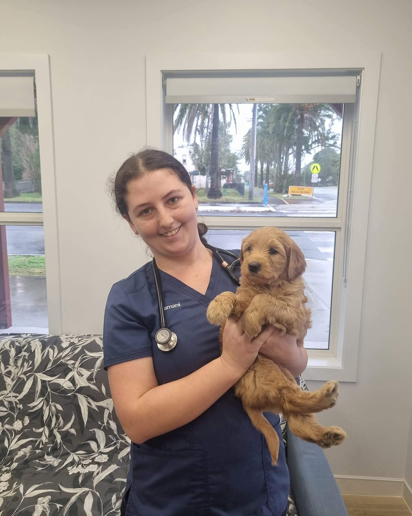 Wingham and Valley Vets
