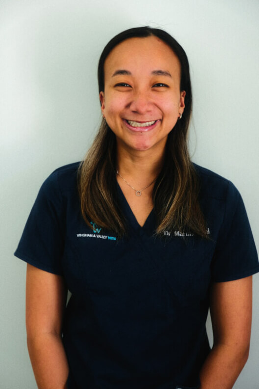 Dr. Martina Bai